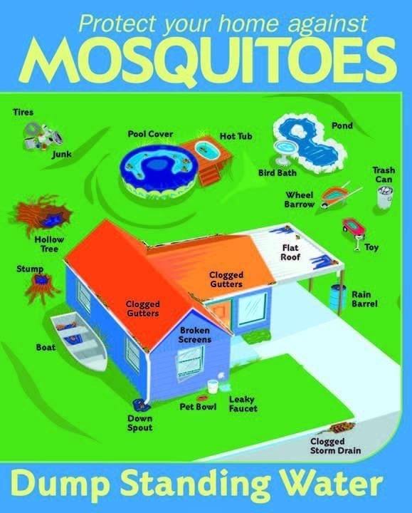 Mosquito control